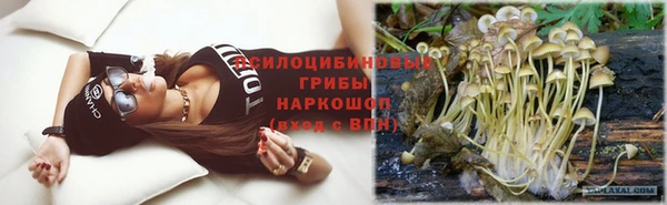 сатива Богданович