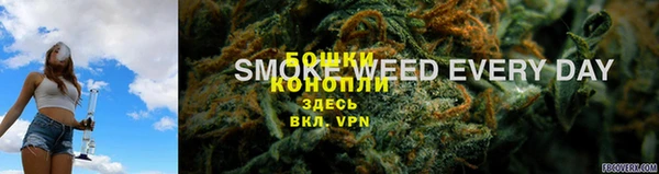сатива Богданович