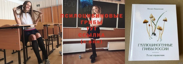 сатива Богданович
