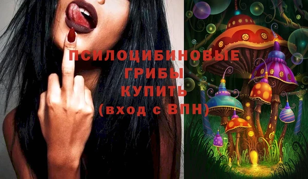 сатива Богданович