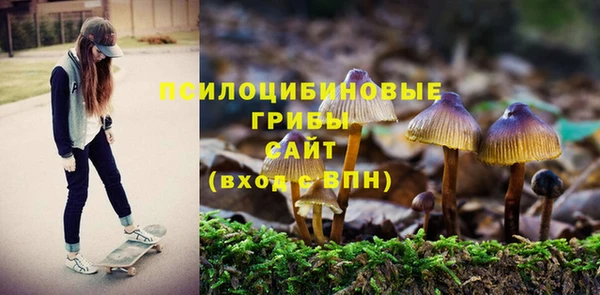 амфетамин Богородицк