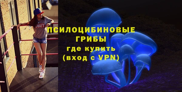 амфетамин Богородицк