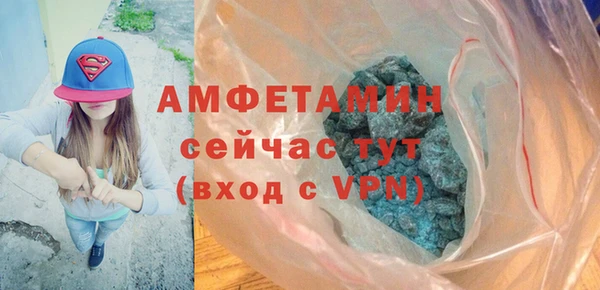 сатива Богданович
