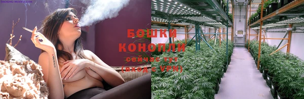 сатива Богданович