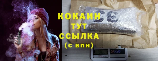 сатива Богданович
